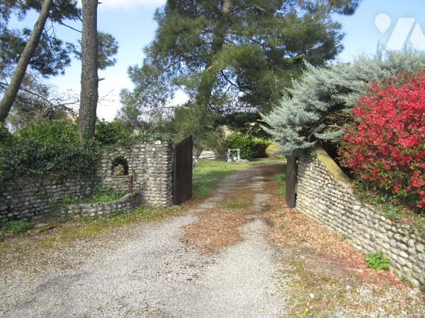 DANS UN JOLI COIN DE VERDURE !!!