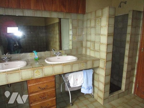 DANS UN JOLI COIN DE VERDURE !!!