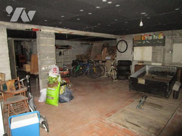 DANS UN JOLI COIN DE VERDURE !!!