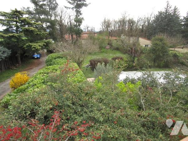 DANS UN JOLI COIN DE VERDURE !!!