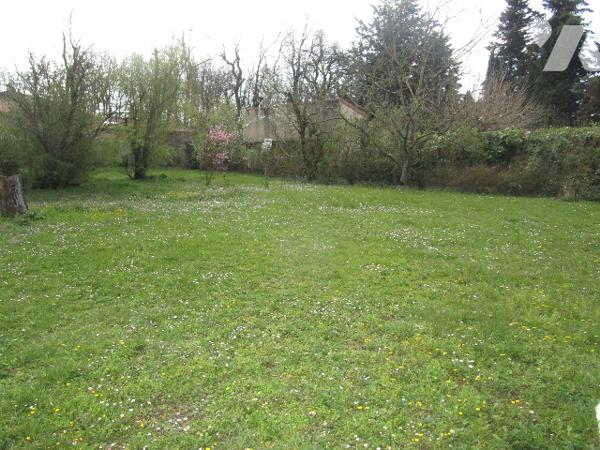 DANS UN JOLI COIN DE VERDURE !!!