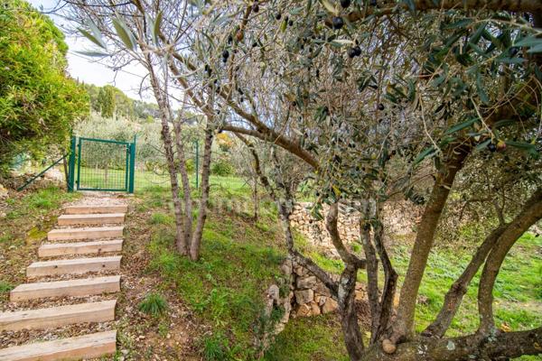 Rare à Cotignac – Villa contemporaine avec piscine, dans un écrin de calme et de nature