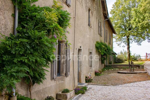 Propriete à vendre 18 pièces ALBI (81)