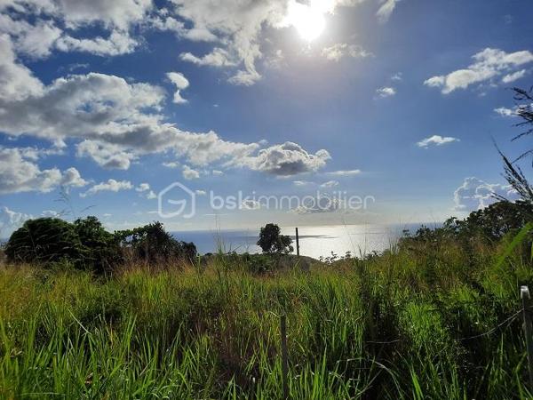 Terrain de 5 020 m²