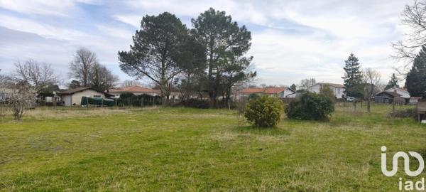 Terrain à vendre 700 m² Ychoux