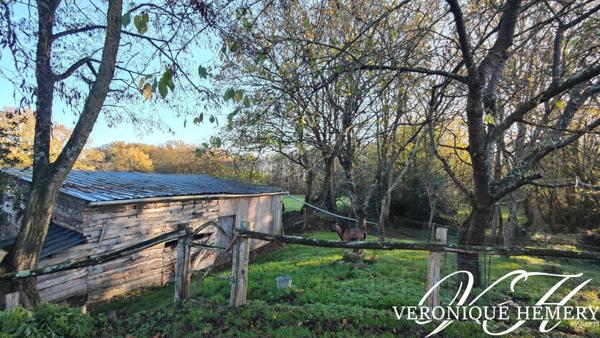 Propriété de charme et de caractère en harmonie avec la nature et le bien être sur plus d'1 hectare