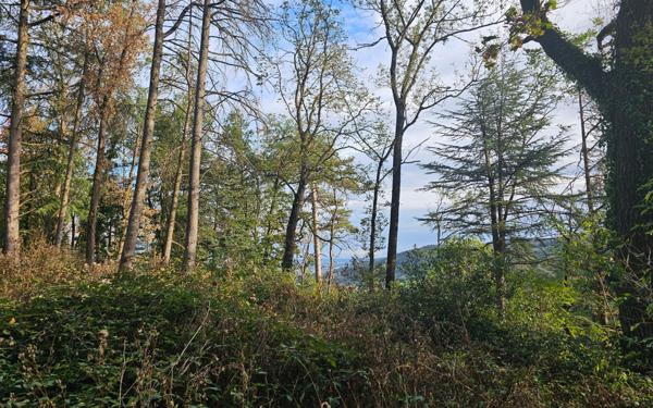 Appartement à vendre    5 pièces • 102,58 m2 La Fouillouse