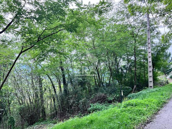 Terrain 1500 m2 à bâtir  Audressein -15km de Saint-Girons (09)