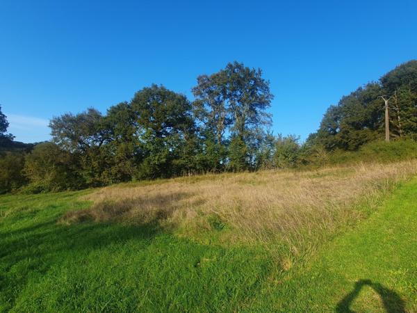 Terrain constructible d'environ 1350 m2