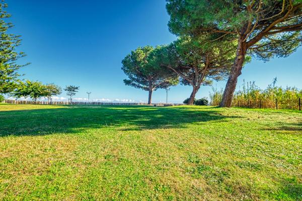 Studio 28.50  m²  Santa Lucia Di Moriani Plage