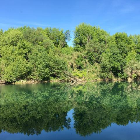 Tressan (34230) DEPT 34 - TRESSAN. 2 MAISONS INDEPENDANTES. 8 Chambres dont 2 Studios indépendants. TERRAIN 4 000 m2