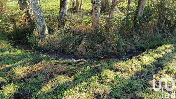 Terrain à vendre 2 680 m² Campouriez