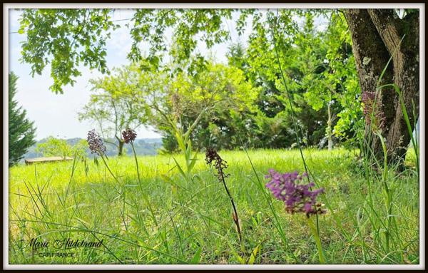 Maison en pierre de 120m² avec gite de 42m² - Terrain : + de 8000m²