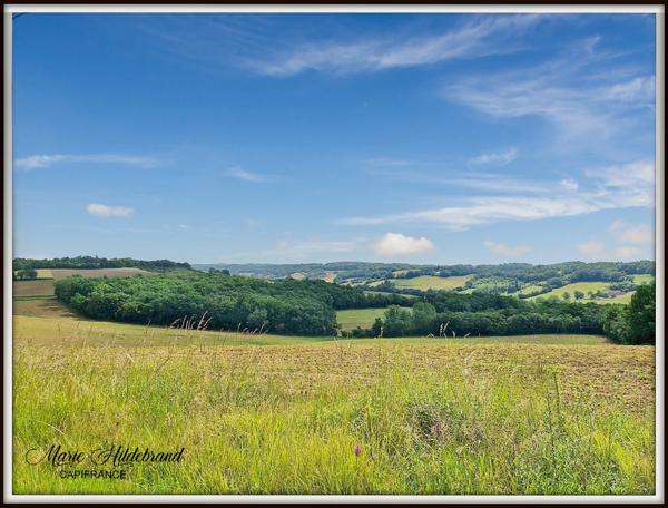 Maison en pierre de 120m² avec gite de 42m² - Terrain : + de 8000m²