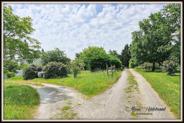 Maison en pierre de 120m² avec gite de 42m² - Terrain : + de 8000m²