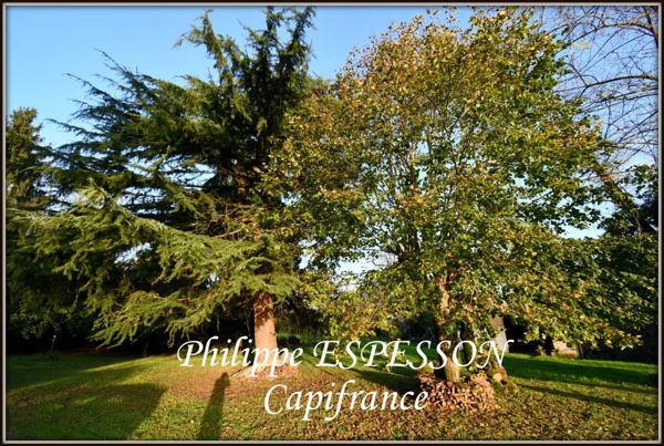 MAISON DE 142m2 SUR PARC DE 4000 m2 A 10 MINUTES D'AGEN (47)