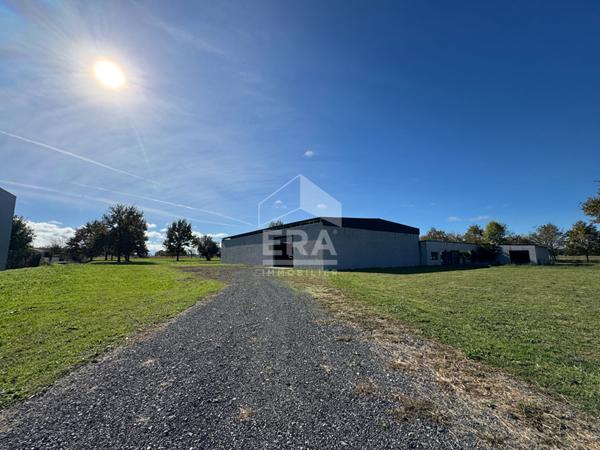 À vendre - Grand local récent de 770 m² sur terrain de 5 104 m² - Rabastens-de-Bigorre
