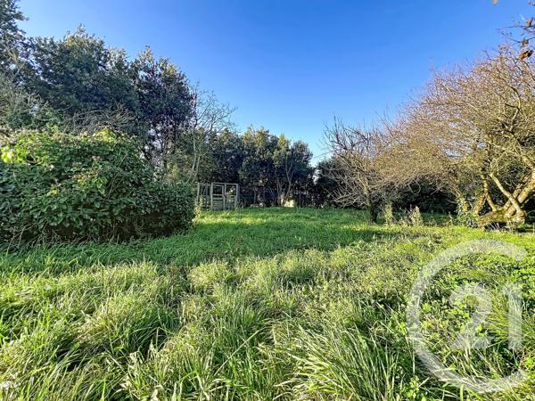 Terrain à vendre  573 m 2   ST PIERRE D OLERON  - 17