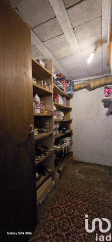 Pavillon 4 pièces de 71 m² à Vallenay (18190)