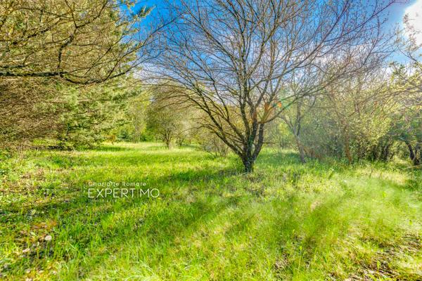 Barjols (83670) CHARMANTE VILLA PLAIN PIED + 1HA DE TERRAIN