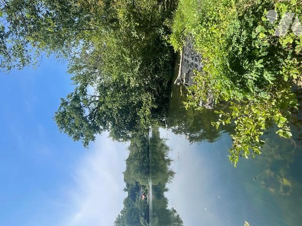 Vaste terrain de loisir avec marais.