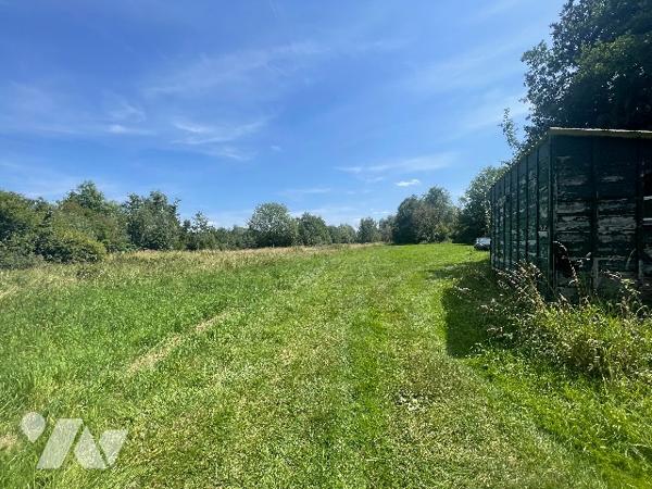 Vaste terrain de loisir avec marais.