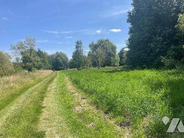 Vaste terrain de loisir avec marais.