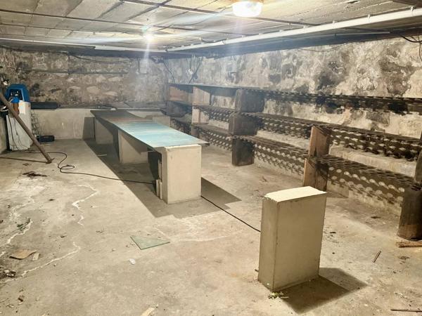 Ensemble immobilier avec local commercial et logement – Idéal investisseur ou projet familial/professionnel