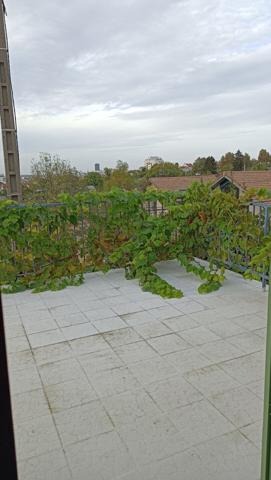 Maison avec Terrasses, jardin et 2 garages