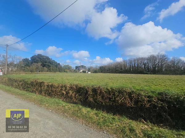 Vente terrain Coex : 60 000 € - AJP Immobilier St-Gilles-Croix-de-Vie