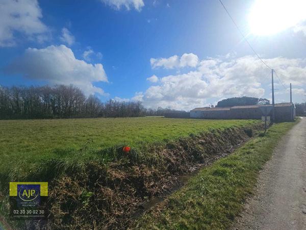 Vente terrain Coex : 60 000 € - AJP Immobilier St-Gilles-Croix-de-Vie