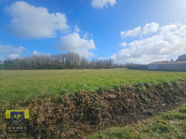 Vente terrain Coex : 60 000 € - AJP Immobilier St-Gilles-Croix-de-Vie