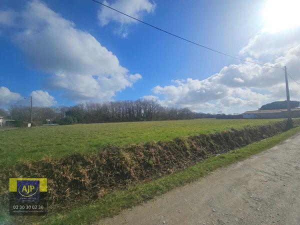 Vente terrain Coex : 60 000 € - AJP Immobilier St-Gilles-Croix-de-Vie