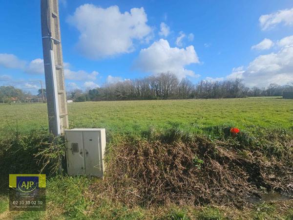 Vente terrain Coex : 60 000 € - AJP Immobilier St-Gilles-Croix-de-Vie