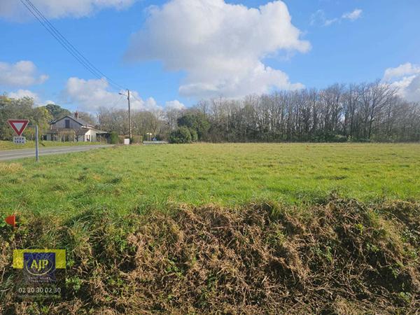Vente terrain Coex : 60 000 € - AJP Immobilier St-Gilles-Croix-de-Vie
