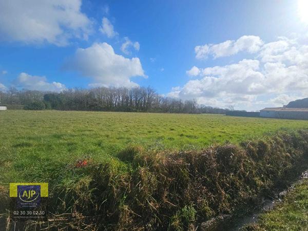 Vente terrain Coex : 60 000 € - AJP Immobilier St-Gilles-Croix-de-Vie