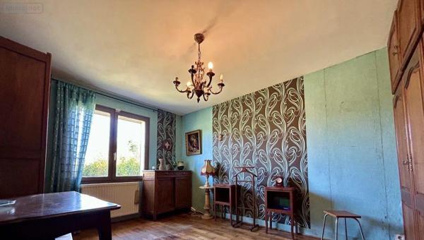 Maison à restaurer à vendre à Châteauneuf-sur-Loire dans le Loiret (45110), ref : 12298/18