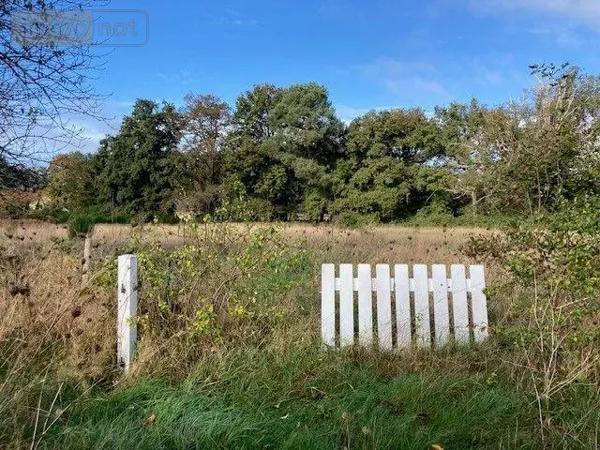 Achat - Propriété | Propriété Guécélard 72230 12 pièces 221 m 2 4000 m 2