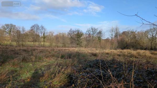 Achat - Terrain de loisirs, bois, étangs La Lande-d'Airou 50800 11328 m 2