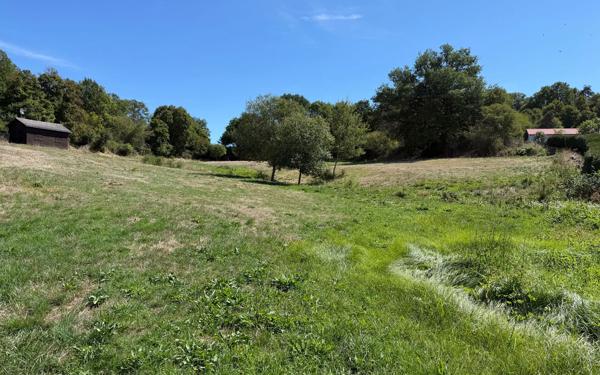 Terrain à vendre