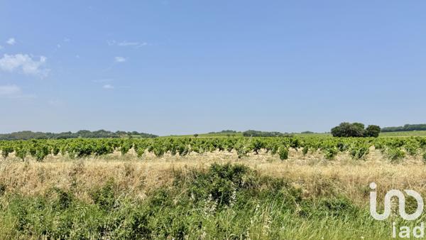 Terrain à vendre 650 m² Bédarrides