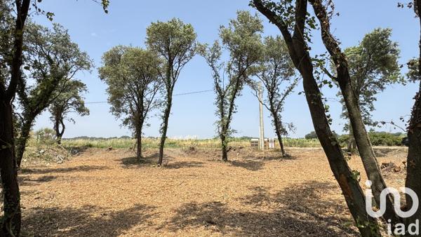 Terrain à vendre 650 m² Bédarrides