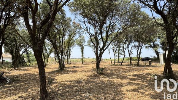 Terrain à vendre 650 m² Bédarrides