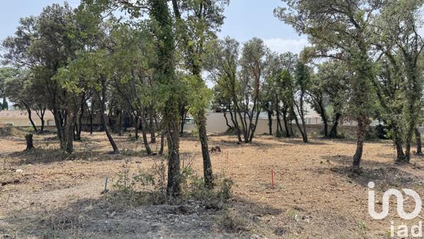 Terrain à vendre 650 m² Bédarrides