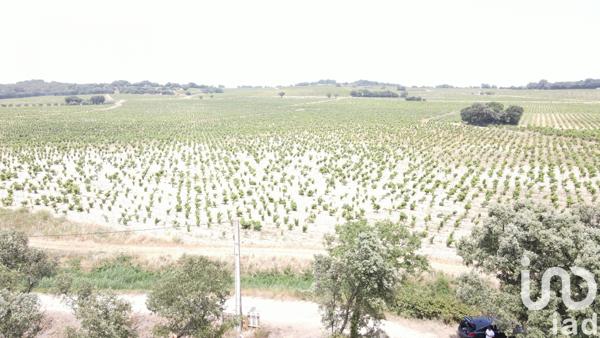 Terrain à vendre 650 m² Bédarrides