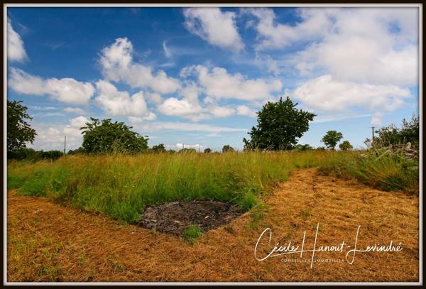 Saint-James (50240) MONTANEL - Maison d'habitation en pierre à restaurer - 107 m², avec cellier en pierre et garage. Terrain 2420