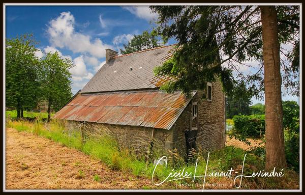 Saint-James (50240) MONTANEL - Maison d'habitation en pierre à restaurer - 107 m², avec cellier en pierre et garage. Terrain 2420