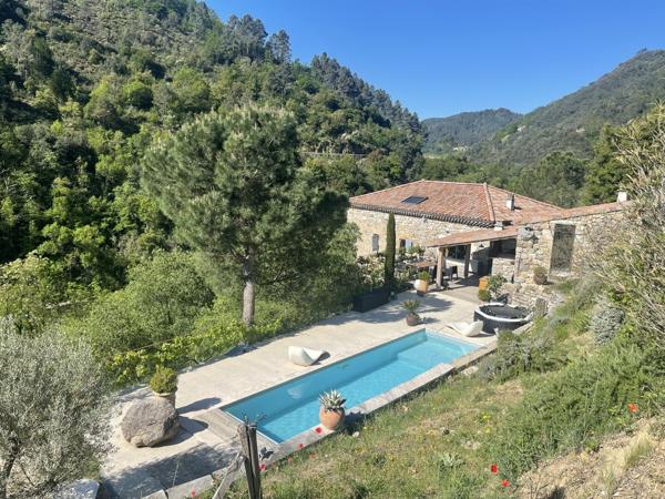 Charmante propriété Ardéchoise en pierres avec piscine et gîtes