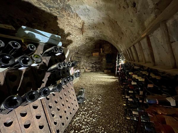 Charmante propriété Ardéchoise en pierres avec piscine et gîtes