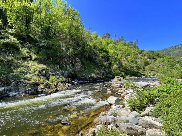 Charmante propriété Ardéchoise en pierres avec piscine et gîtes